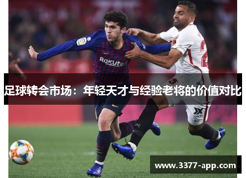 足球转会市场：年轻天才与经验老将的价值对比