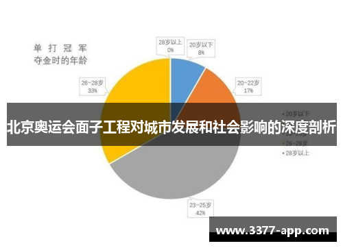 北京奥运会面子工程对城市发展和社会影响的深度剖析